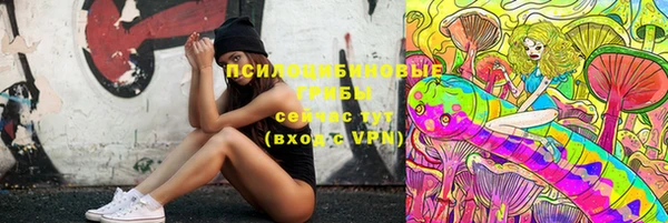 ГАЛЛЮЦИНОГЕННЫЕ ГРИБЫ Липки