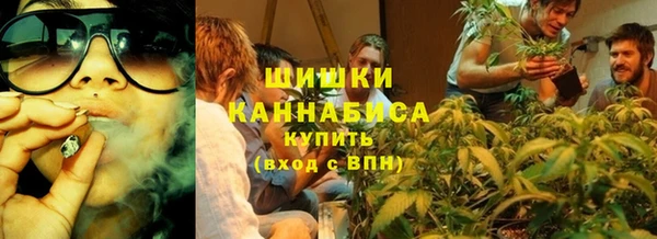 ГАЛЛЮЦИНОГЕННЫЕ ГРИБЫ Липки