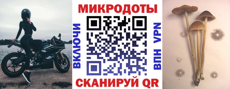 Псилоцибиновые грибы ЛСД  kraken зеркало  Мезень 