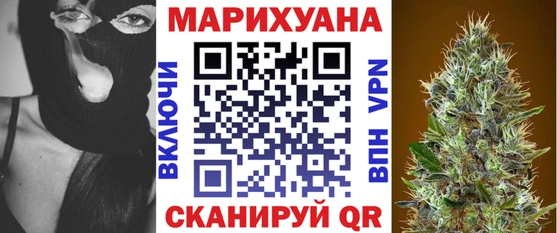 где найти наркотики  Мезень  Каннабис индика 